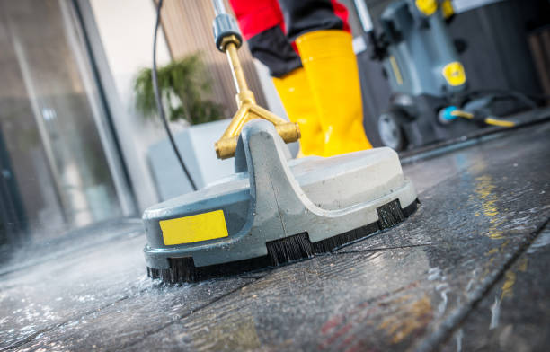 Best House Pressure Washing  in Arcadia, LA