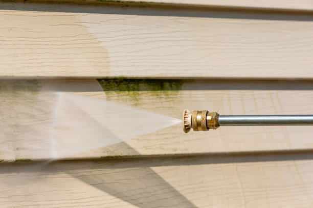 Best Exterior Home Cleaning  in Arcadia, LA