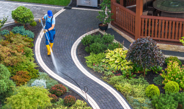 Best Roof Pressure Washing  in Arcadia, LA